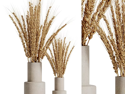 Modern Concrete Vases With Wheat Ears Arrangement In Different Heights For Home Decor 3d model