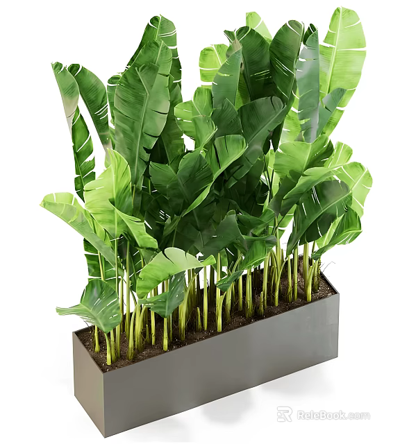 Large Potted Plant With Green Tropical Leaves In Long Rectangular Gray Planter 3d model 
