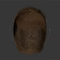 Realistic Human Head Organ With Detailed Brown Hair And 3D Rendered Natural Texture