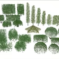 Various Shaped and Trimmed Garden Shrubs for Landscaping Design Projects
