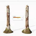 Natural Stone Wood Tree Trunks With Mossy Base And Peeling Bark 3d model