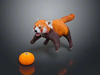 Cute Red Panda Toy Figure Playing With Small Orange Pumpkin On Dark Reflective Surface 3d model