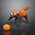 Cute Red Panda Toy Figure Playing With Small Orange Pumpkin On Dark Reflective Surface