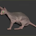 Hairless Sphynx Cat With Bright Green Eyes Standing On Dark Surface