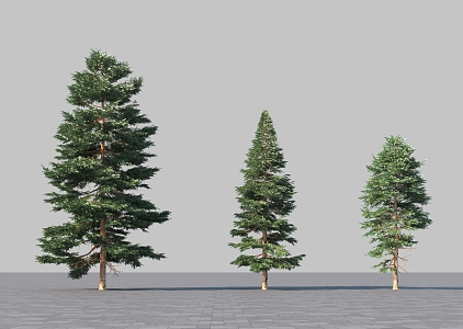 Modern Pointy Tree 3d model