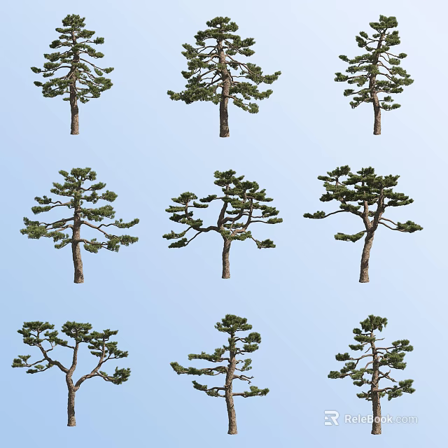 Arbor Trees Showcasing Various Unique Natural Forms Against Light Blue Sky 3d model 