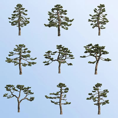 Arbor Trees Showcasing Various Unique Natural Forms Against Light Blue Sky 3d model