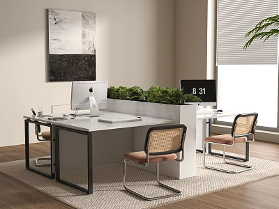 Modern Office Desk with Dual Computers Central Green Plants Woven Backrest Chairs Window and Artwork 3d model
