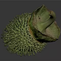 Green Spiky Tropical Plant Fruit with Fresh Green Leaves on Dark Background
