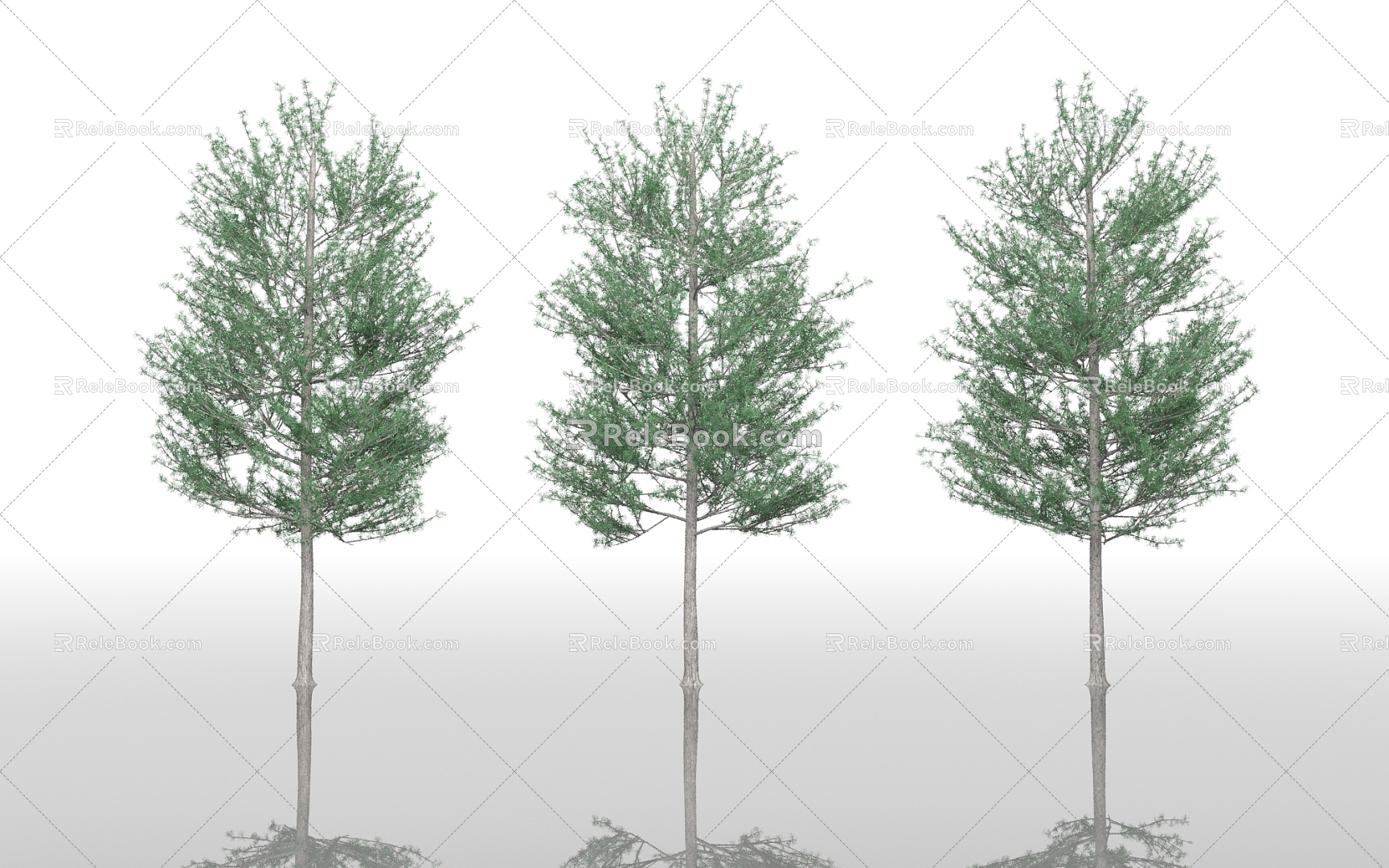 Trees Trees Street Trees Big Trees Plants Greening Park Plants Greening Vegetation Forest Forest Trees Trees Branches 3d model