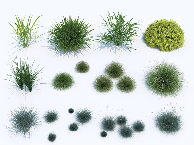 Various Types of Decorative Shrubs for Garden Landscaping and Design 3d model