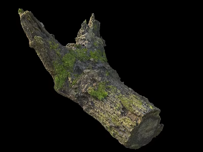 Natural Stone Wood Log With Moss Covered Surface And Rustic Texture 3d model