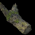 Natural Stone Wood Log With Moss Covered Surface And Rustic Texture