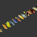 Vibrant Animated Fish Characters Including Clownfish And Yellow White Varieties For Games And Films