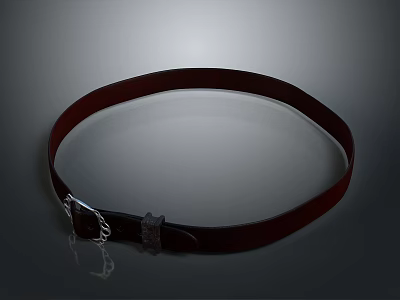 High Quality Stylish Brown Leather Belt With Silver Metal Buckle For Daily Wear 3d model