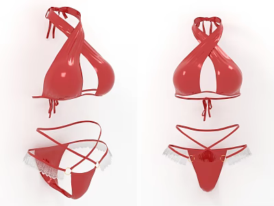 Bikini Sexy Swimwear Women Clothing 3d model