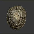 Natural Seashell With Ribbed Surface And Brown White Color Pattern