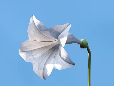 Delicate White Flower with Soft Petals Green Stem and Blue Sky Background 3d model