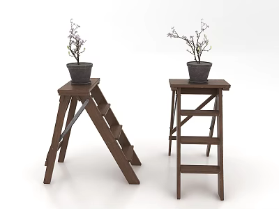 Bonsai Potted Plants With Twiggy Branches On Stylish Wooden Ladder Stands Indoor 3d model