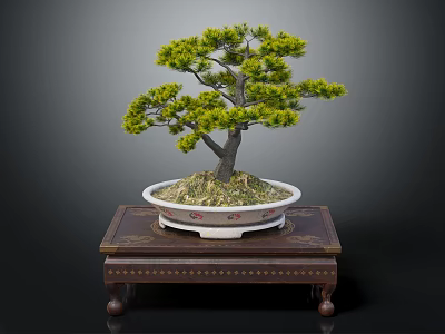 Beautiful Bonsai Pine Tree in Decorative White Pot on Carved Wooden Stand with Ornate Design 3d model