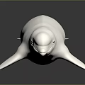White Beluga Whale Isolated on Dark Background Marine Life Illustration