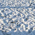 Fresh Footprints On Snowy Ground With Natural Textured Surface And Sunlight