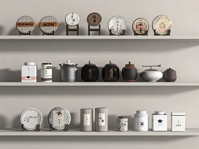 Various Daily Use Products On Shelves In Neutral Tones 3d model
