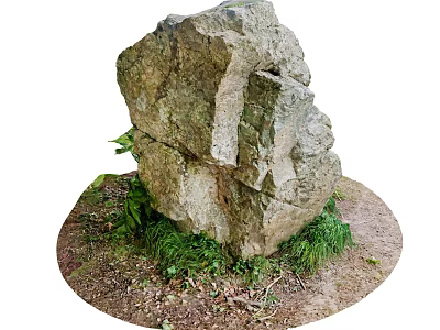 Large Natural Rockery Stone Surrounded By Green Ferns And Loose Soil 3d model