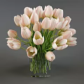 Decorative Round Transparent Glass Vases With White Purple Pink Tulips Arrangement