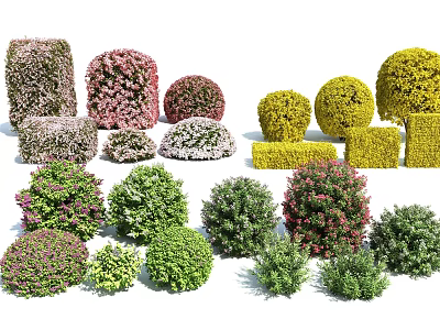 Various Colorful Garden Bushes With Different Shapes And Sizes For Landscaping 3d model