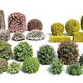 Various Colorful Garden Bushes With Different Shapes And Sizes For Landscaping