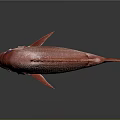 Red Fish With Shiny Scales And Fins On Dark Reflective Background