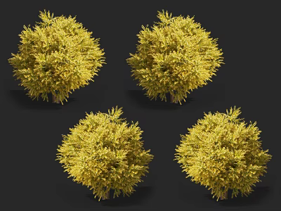 Yellow Lush Shrubs Four Rounded Bushes With Vibrant Foliage In Outdoor Garden Setting 3d model