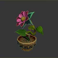 Pink Flowering Plant with Green Leaves and Pink Petals in Brown Decorative Pot