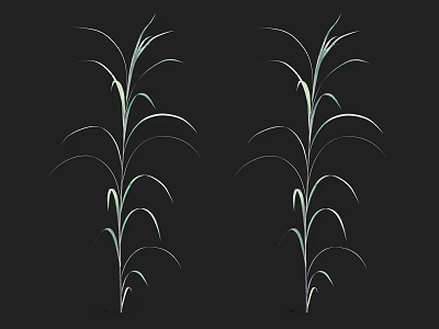 Two Slender Aquatic Plants With Curved Leaves And Elegant Lines Against Black Background 3d model