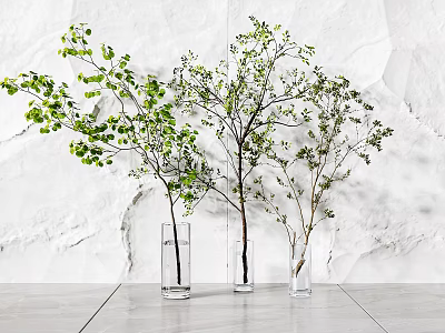Three Transparent Vases With Green Branches Against White Marble Background And Light Floor 3d model