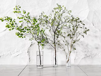 modern vase hydroponic plant green plant 3d model