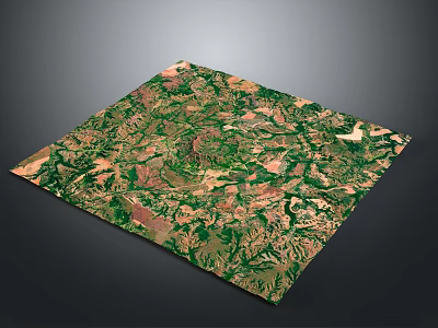 3D Topographic Terrain Model Featuring Green Vegetation Mountain Ranges And Plains 3d model