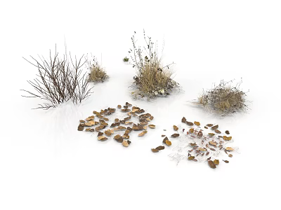 Natural Decorative Household Items With Dried Grass Twigs And Fallen Leaves 3d model