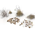 Natural Decorative Household Items With Dried Grass Twigs And Fallen Leaves