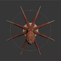 Unique Starfish With Multiple Sharp Red Brown Spikes And Textured Body