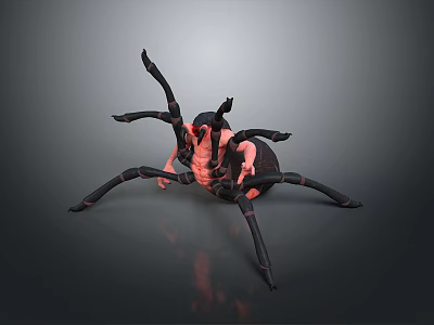 3D Rendered Spider Model With Detailed Black Legs And Red Segmented Body On Gray Background 3d model