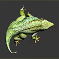 Lizard Anime Lizard Cartoon Lizard Reptile Cold Blooded Animal Reptile 3d model