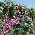 Living Plant Wall With Greenery Purple Red Flowers Deer Sculpture Pebbles And Bamboo