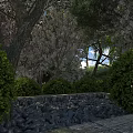 Garden Landscape Featuring Lush Trees Cherry Blossoms Green Shrubs Stone Wall Pebbles and Path