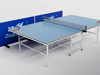 Blue Table Tennis Sports Equipment With Net Paddles And Double Brand Foldable Frame 3d model