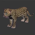 Young Leopard Cub With Spotted Fur Standing On Dark Reflective Surface 3d model