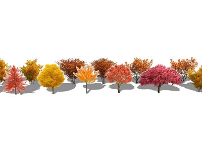 Autumn Trees with Multicolored Leaves in Row of Various Hues and Natural Landscape 3d model