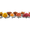 Autumn Trees with Multicolored Leaves in Row of Various Hues and Natural Landscape