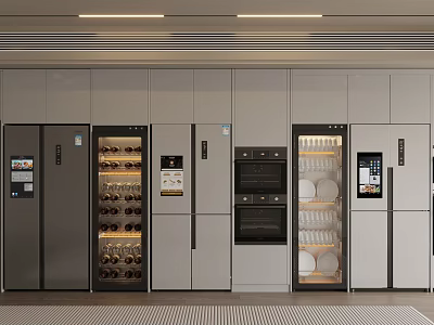 Modern Kitchen Appliances Refrigerator Disinfection Cabinet Cupboard Combination 3d model
